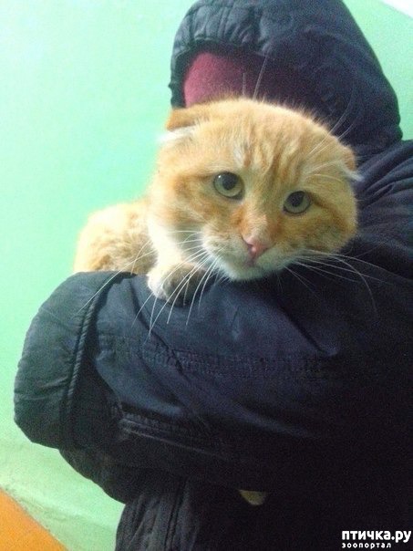 ���� 1: ��� ���� � ���� ��� ��� ����!