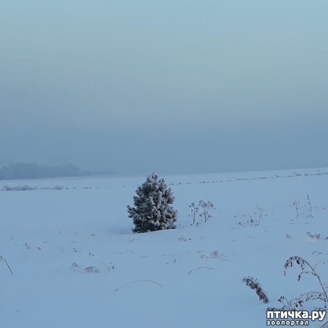 ���� 4: ������ �������.