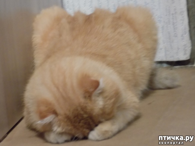 ���� 4: ��� ���� � ���� ��� ��� ����!