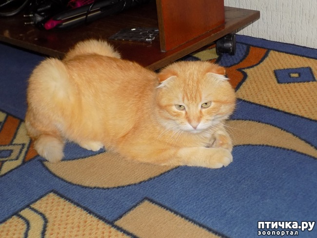 ���� 8: ��� ���� � ���� ��� ��� ����!