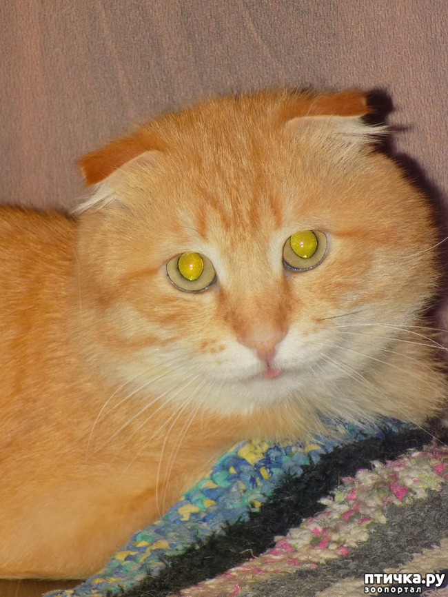 ���� 6: ��� ���� � ���� ��� ��� ����!