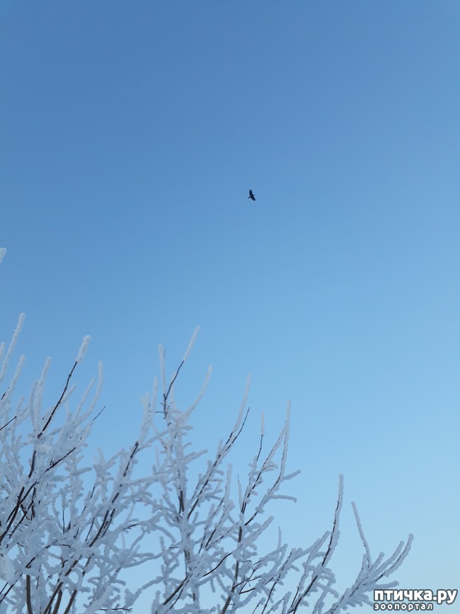 ���� 5: ������ �������.