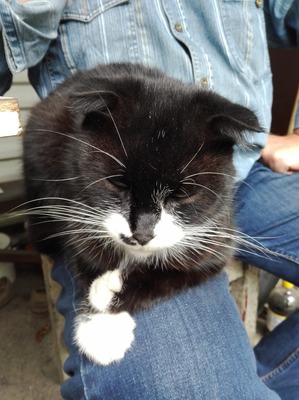 ����: ������ ������� � ��������� ������