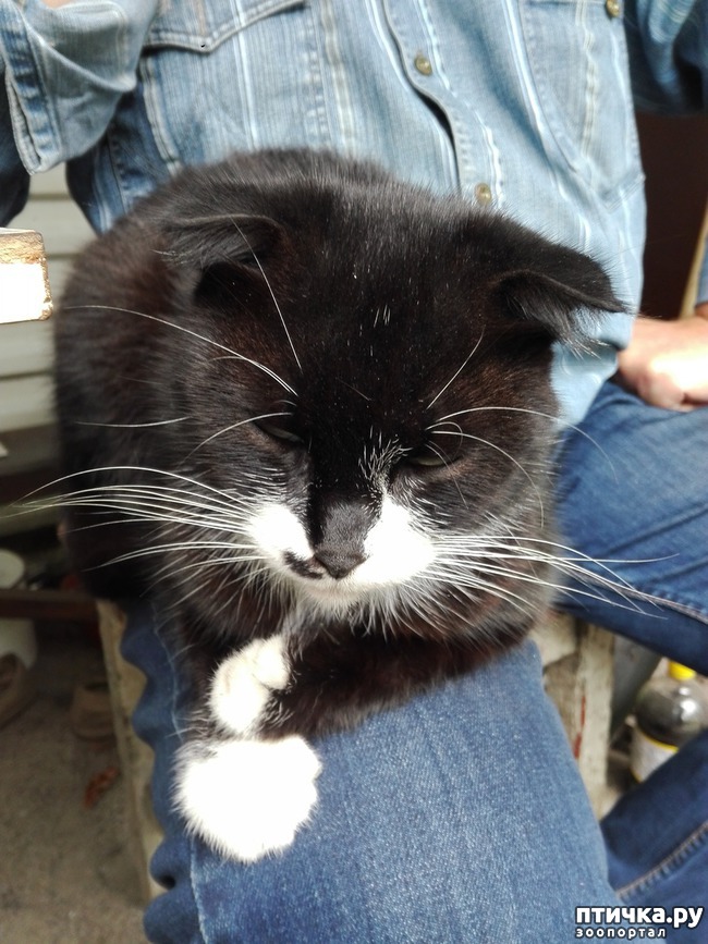 ���� 1: ������ ������� � ��������� ������