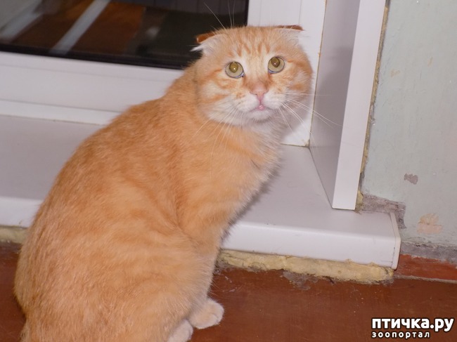 ���� 5: ��� ���� � ���� ��� ��� ����!