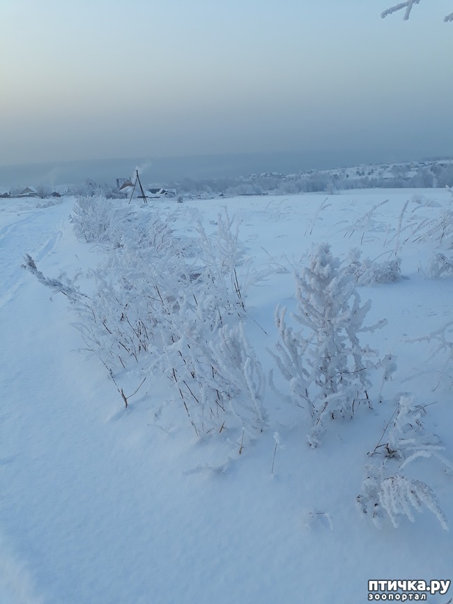 ���� 6: ������ �������.