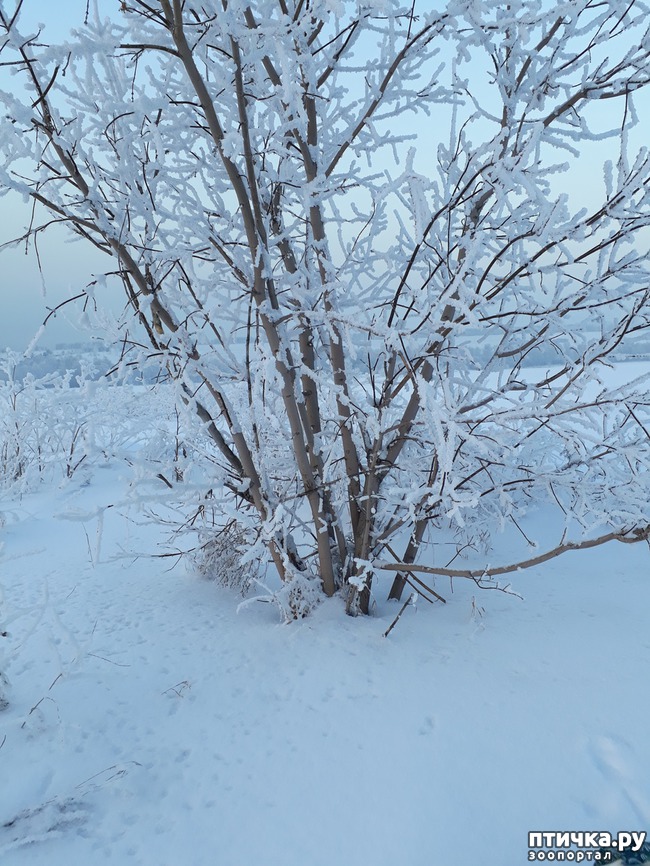 ���� 7: ������ �������.