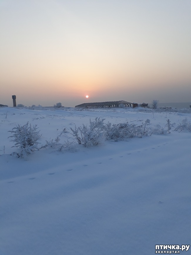 ���� 8: ������ �������.