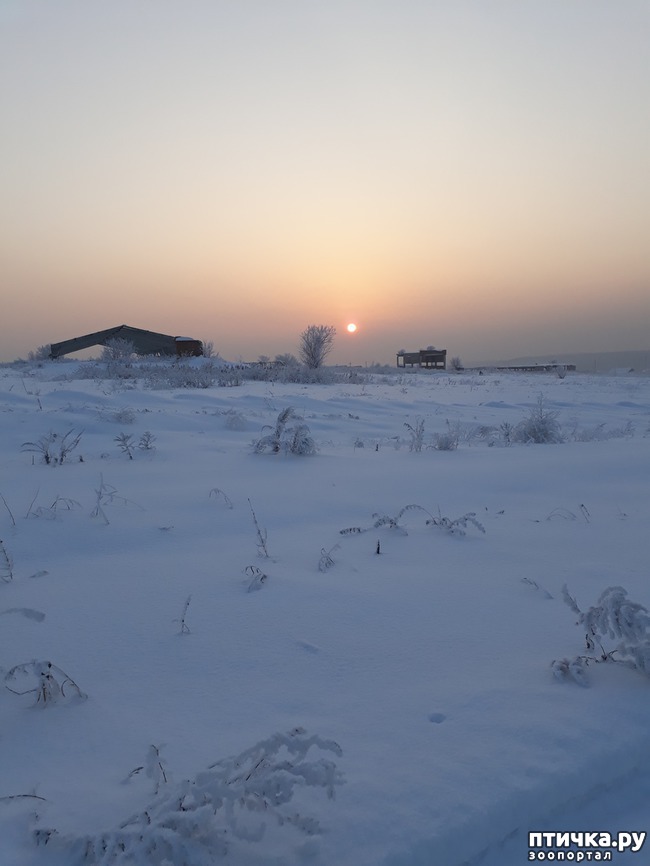 ���� 9: ������ �������.