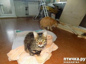 ����: ����!