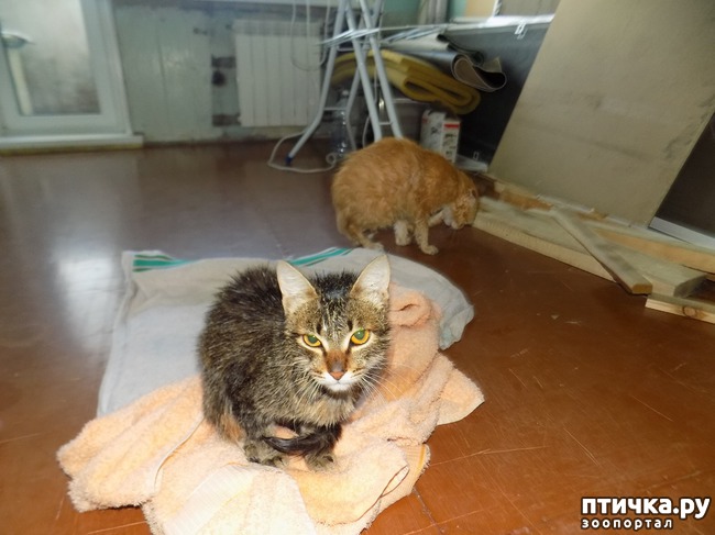 ���� 1: ����!