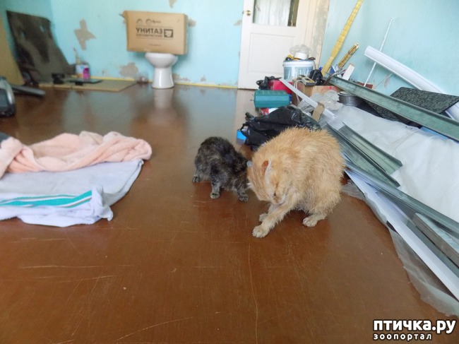 ���� 10: ����!