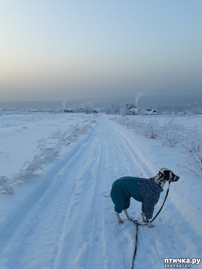 ���� 10: ������ �������.