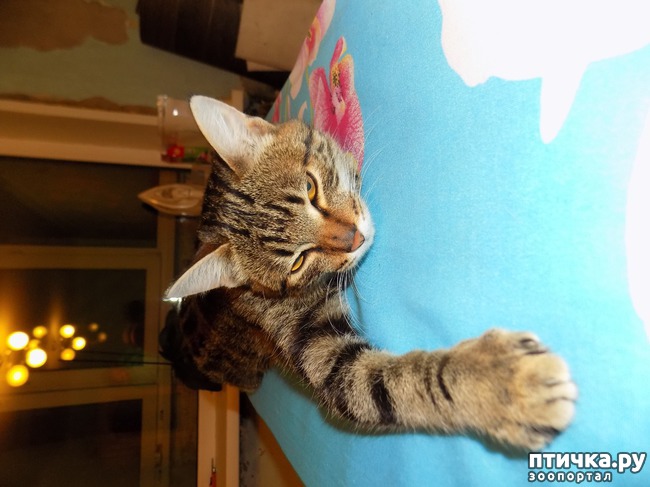 ���� 9: ����!