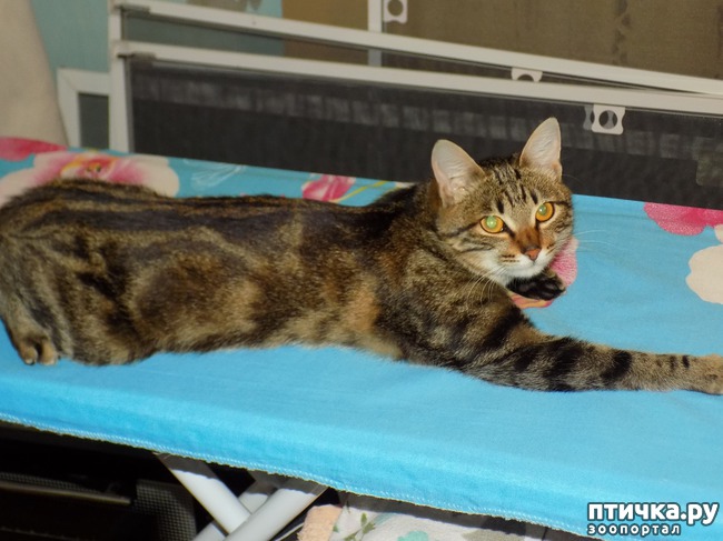 ���� 8: ����!