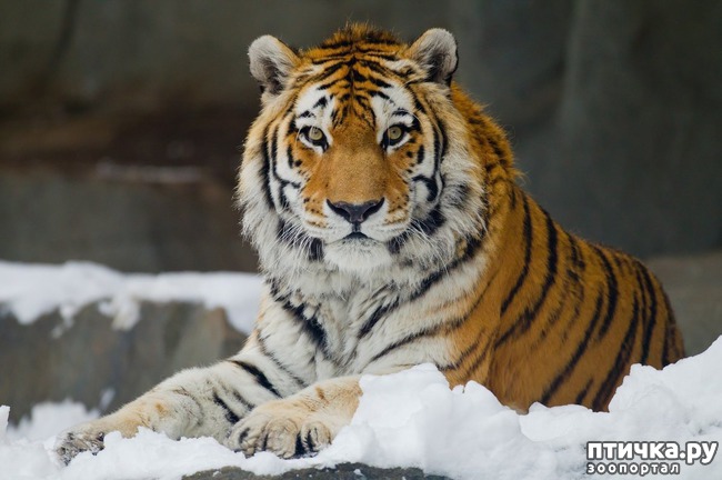 ���� 2: �������������� �������������