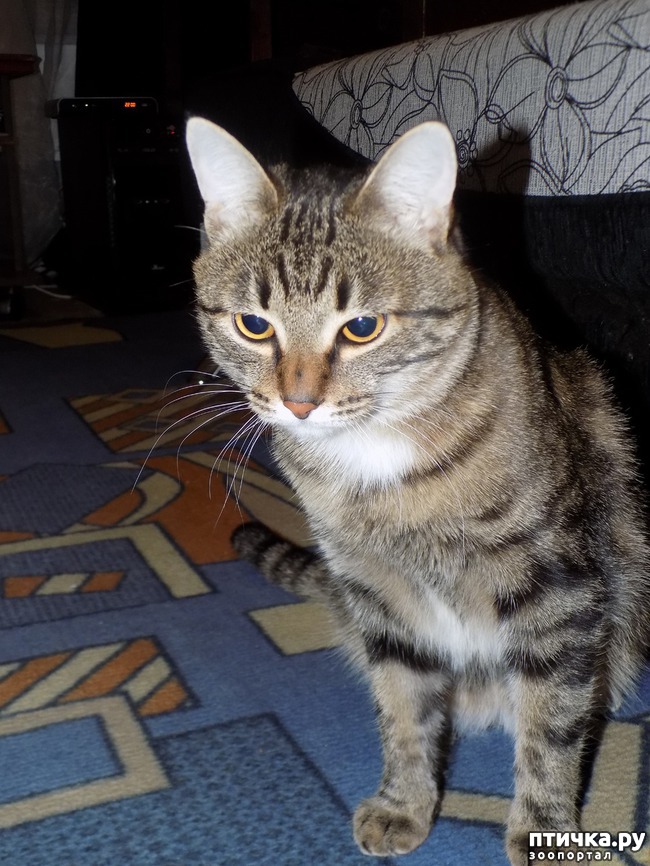 ���� 7: ����!