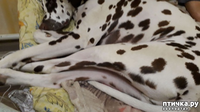 ���� 11: ������ �������.