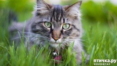 ���� 2: ��������� � �������� ����� �������� (�������� ������)