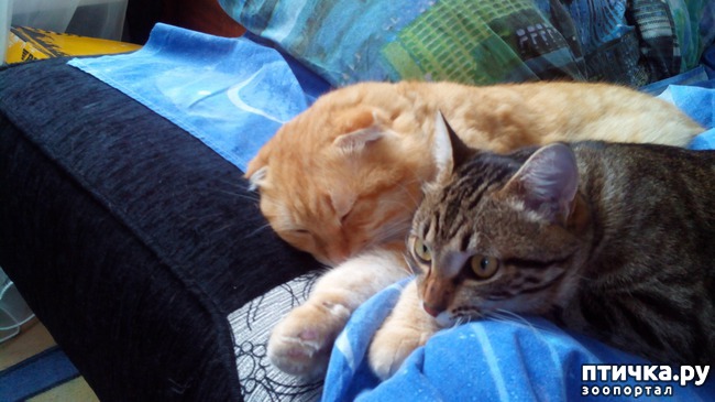 ���� 6: ����!