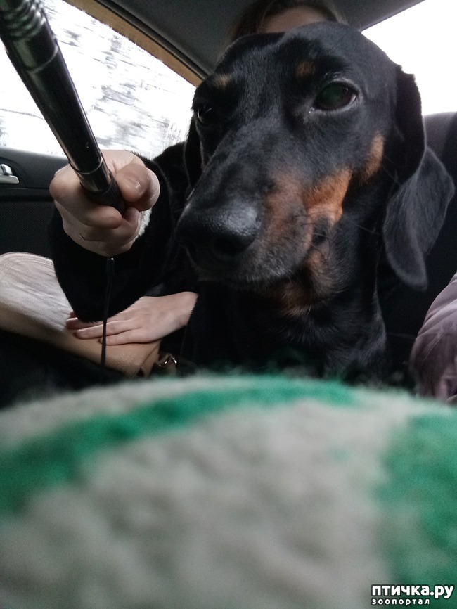 ���� 1: ������������� �� �������� ���� (+ ��������) 31.12.17 ����� 2