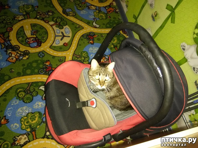 ���� 4: ����!