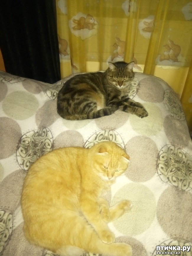 ���� 3: ����!