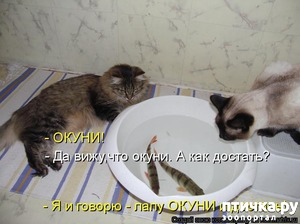 ����: �����������: � ��������� ������ ���������!!!