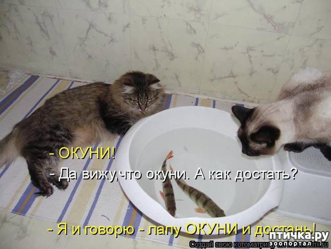 ���� 1: �����������: � ��������� ������ ���������!!!