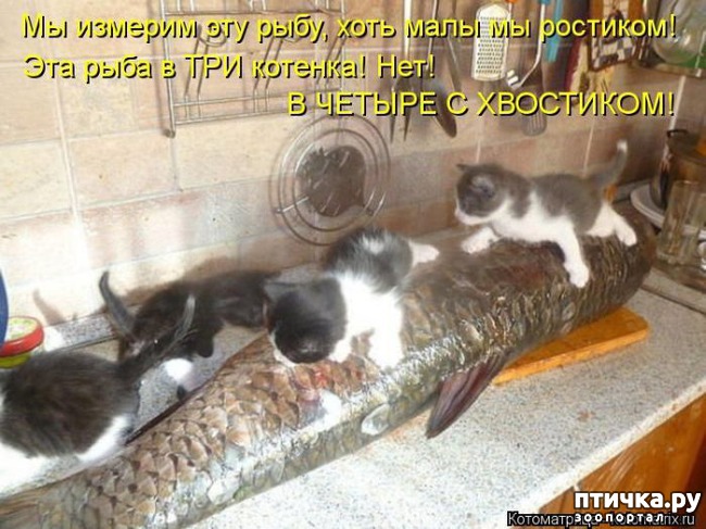 ���� 2: �����������: � ��������� ������ ���������!!!