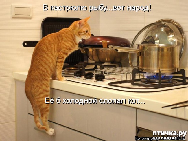 ���� 3: �����������: � ��������� ������ ���������!!!