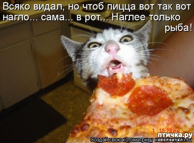 ���� 4: �����������: � ��������� ������ ���������!!!