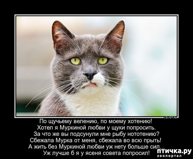 ���� 5: �����������: � ��������� ������ ���������!!!