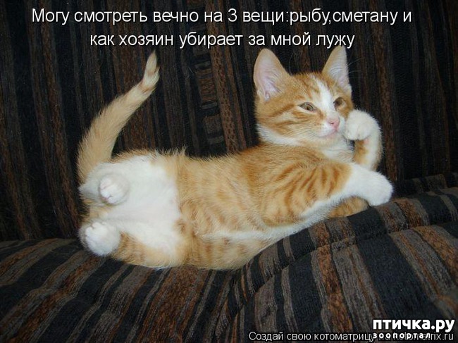 ���� 6: �����������: � ��������� ������ ���������!!!