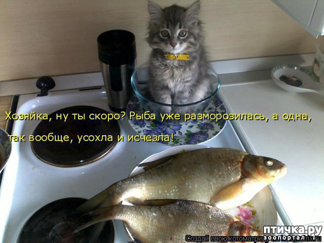 ���� 7: �����������: � ��������� ������ ���������!!!