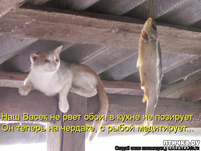 ���� 9: �����������: � ��������� ������ ���������!!!