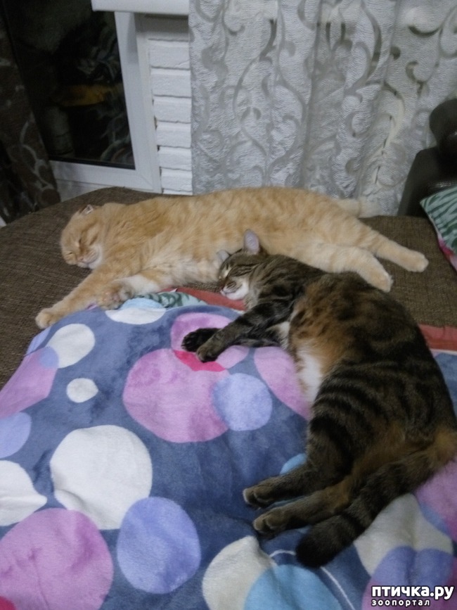 ���� 2: ����!