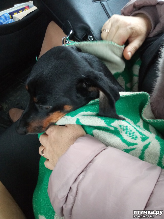 ���� 2: ������������� �� �������� ���� (+ ��������) 31.12.17 ����� 2