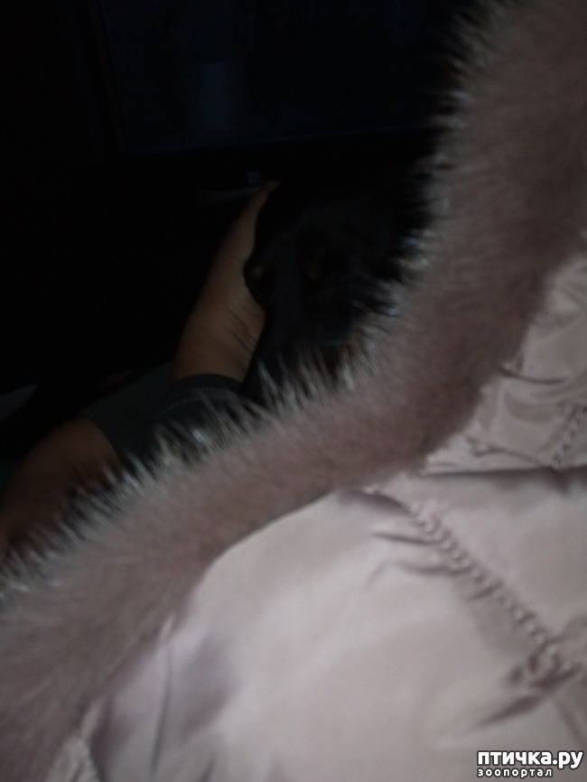 ���� 3: ������������� �� �������� ���� (+ ��������) 31.12.17 ����� 2