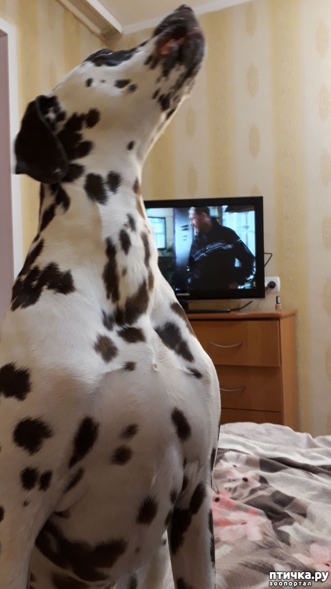 ���� 1: ������ �������.