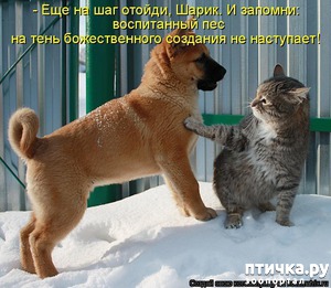 ����: ������ � 2018 ���� ��������� �����������: ��� ����� � �������!