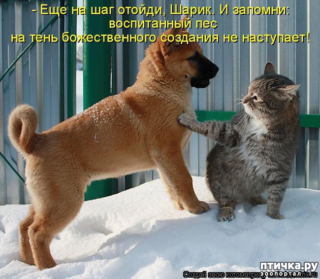 ���� 1: ������ � 2018 ���� ��������� �����������: ��� ����� � �������!