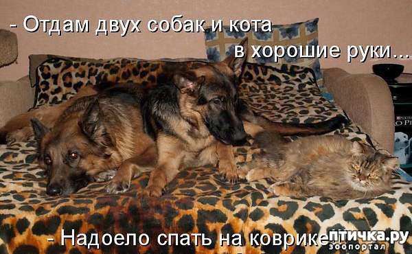 ���� 2: ������ � 2018 ���� ��������� �����������: ��� ����� � �������!