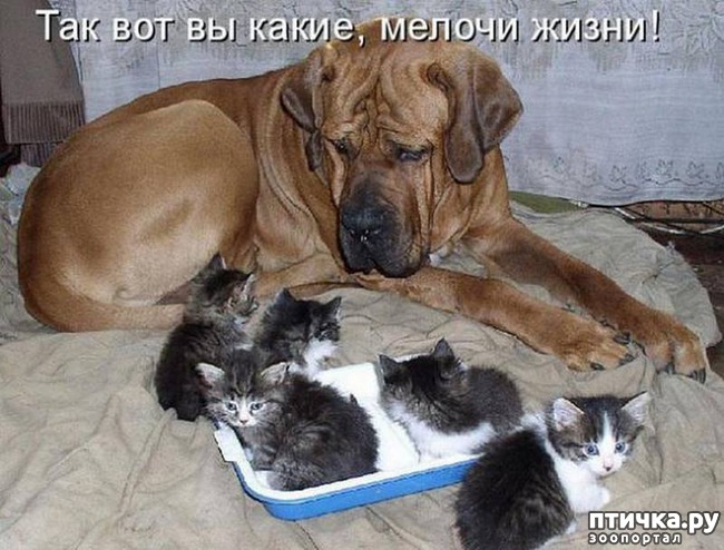 ���� 3: ������ � 2018 ���� ��������� �����������: ��� ����� � �������!