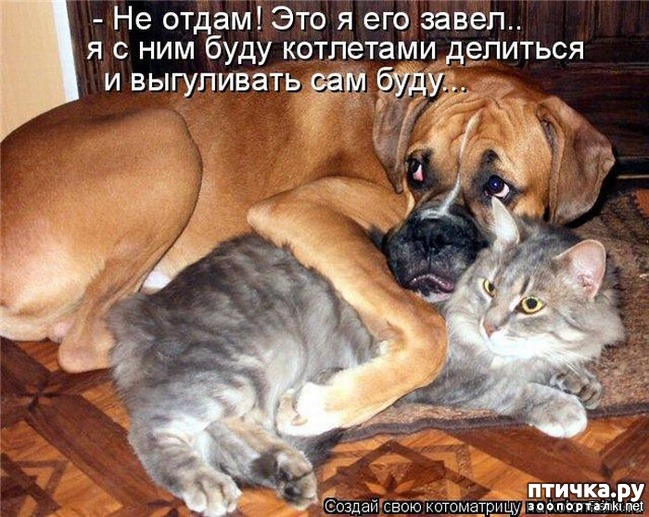 ���� 4: ������ � 2018 ���� ��������� �����������: ��� ����� � �������!