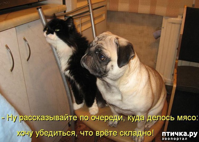 ���� 6: ������ � 2018 ���� ��������� �����������: ��� ����� � �������!