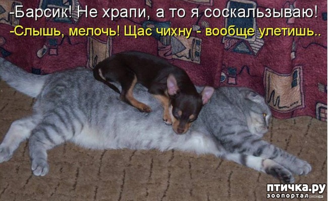 ���� 7: ������ � 2018 ���� ��������� �����������: ��� ����� � �������!