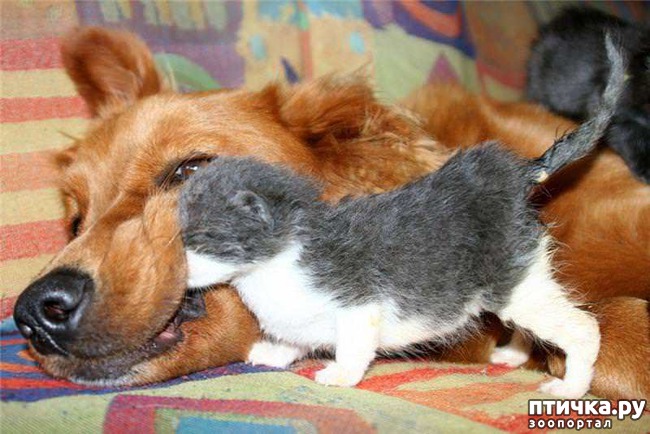 ���� 10: ������ � 2018 ���� ��������� �����������: ��� ����� � �������!