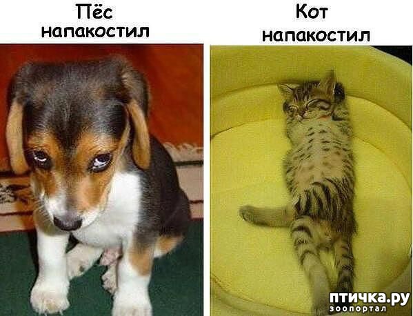 ���� 13: ������ � 2018 ���� ��������� �����������: ��� ����� � �������!