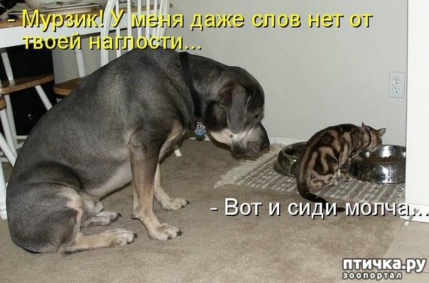 ���� 14: ������ � 2018 ���� ��������� �����������: ��� ����� � �������!